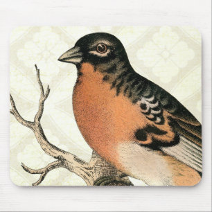 Vintage Robin Mousepad