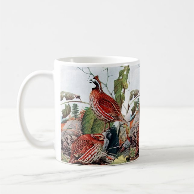 Vintage Rock-Quail-Vogelmalerei Kaffeetasse (Links)