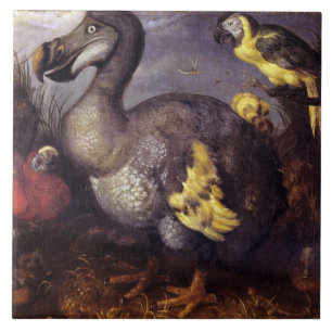 Vintage Roelant Savery Saverys Dodo Fliese