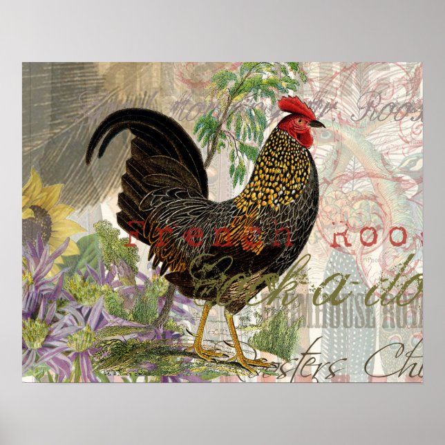Vintage Rooster French Collage Farm Pet Poster (Vorne)