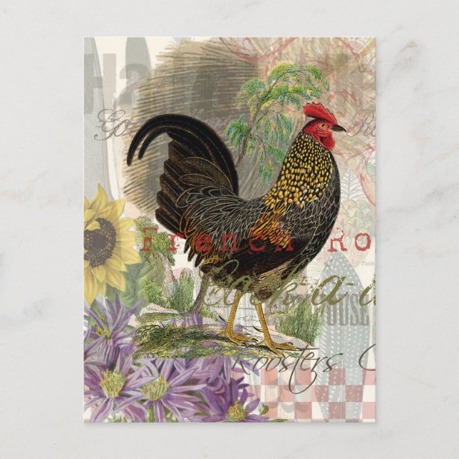 Vintage Rooster French Collage Farm Pet Postkarte (Vorderseite)