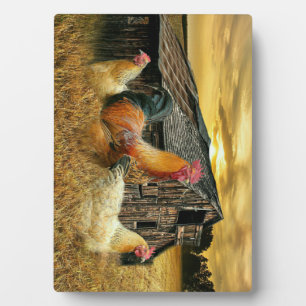 Vintage Rooster-Hühner Rustikaler Barcoop Fotoplatte