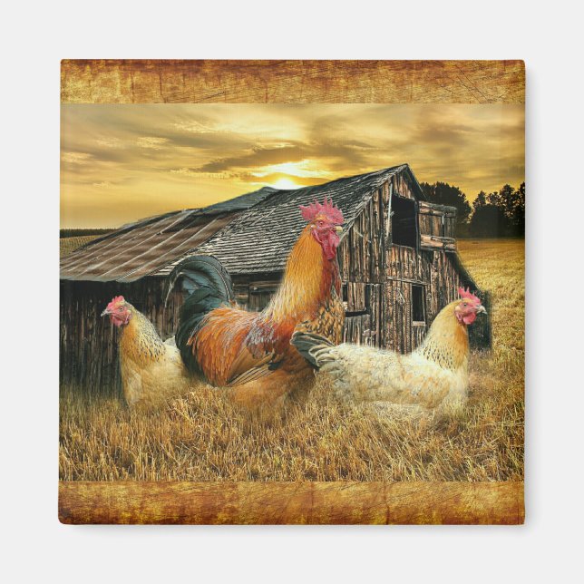 Vintage Rooster-Hühner Rustikaler Barcoop Magnet (Vorne)