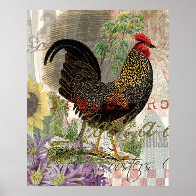 Vintage Rooster-Kunst Poster (Vorne)