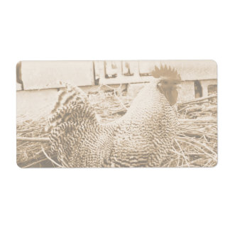 Vintage Roosterfotografie