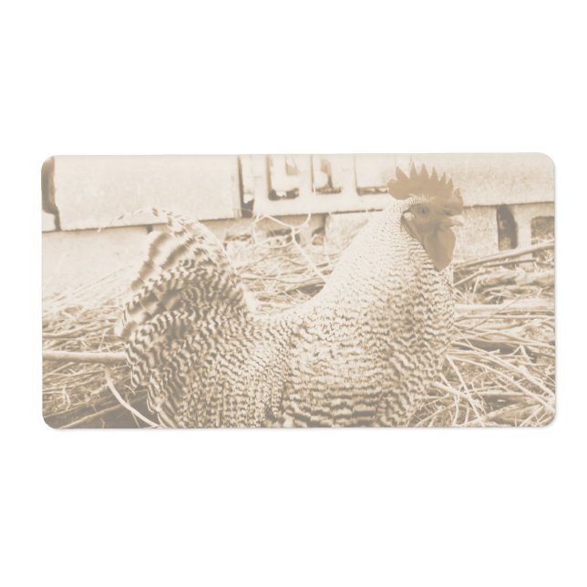 Vintage Roosterfotografie (Vorne)