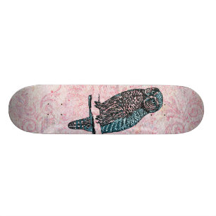 Vintage rosa blaue niedliche Eule Skateboard