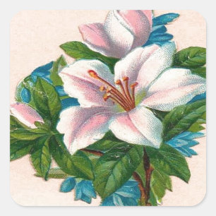 Vintage rosa Blume, Großmutter zum Geburtstag Quadratischer Aufkleber