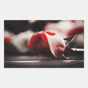 Vintage Rosa-Blume Rechteckiger Aufkleber