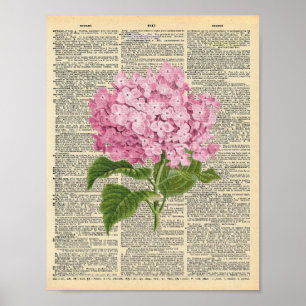 Vintage rosa Hortensie auf einem alten Wörterbuch Poster