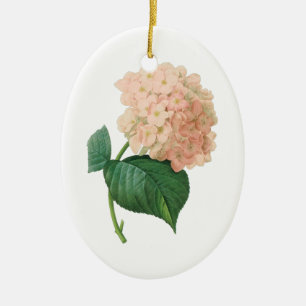 Vintage-Rosa-Hortensie-Blüte von Redoute Keramik Ornament