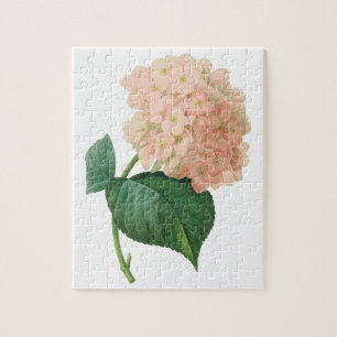 Vintage rosa Hydrangea Hortensie-Blüte von Redoute Puzzle