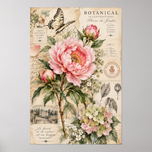Vintage-Rosa-Pfingstrose-Schmetterling-Botanik-Wan Poster