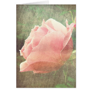 Vintage Rose