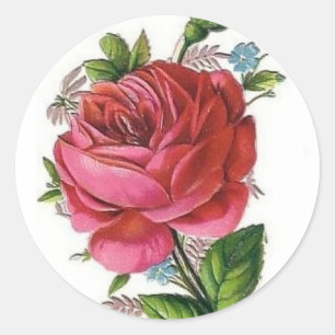 Vintage-Rose-Aufkleber Runder Aufkleber