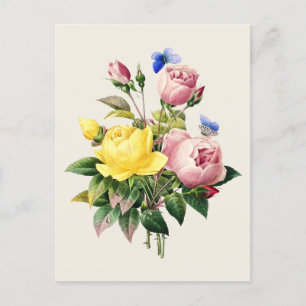 Vintage Rose Botanische Illustration Postkarte
