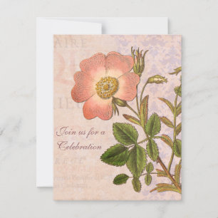 Vintage Rose Geburtstagsparty Einladung