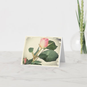 Vintage Rose gefaltete Mitteilungskarten