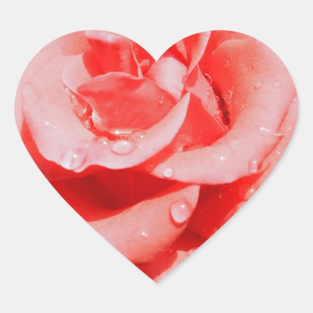 Vintage Rose Herz-Aufkleber (Vorderseite)