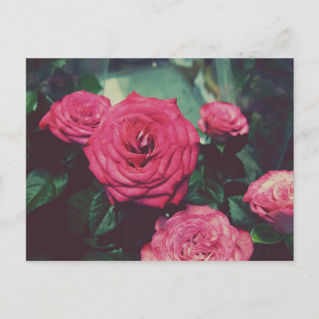 VINTAGE ROSE I POSTKARTE (Vorderseite)
