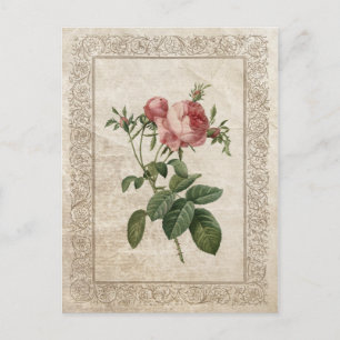 VINTAGE ROSE III POSTKARTE