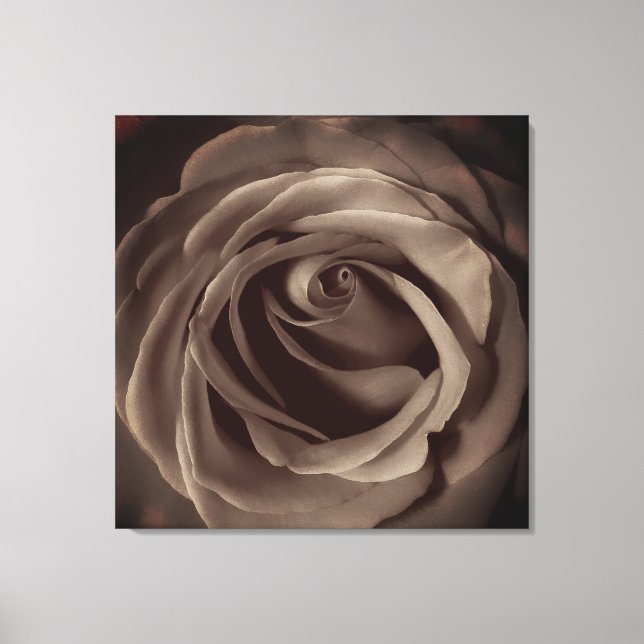 Vintage Rose Leinwanddruck (Vorderseite)