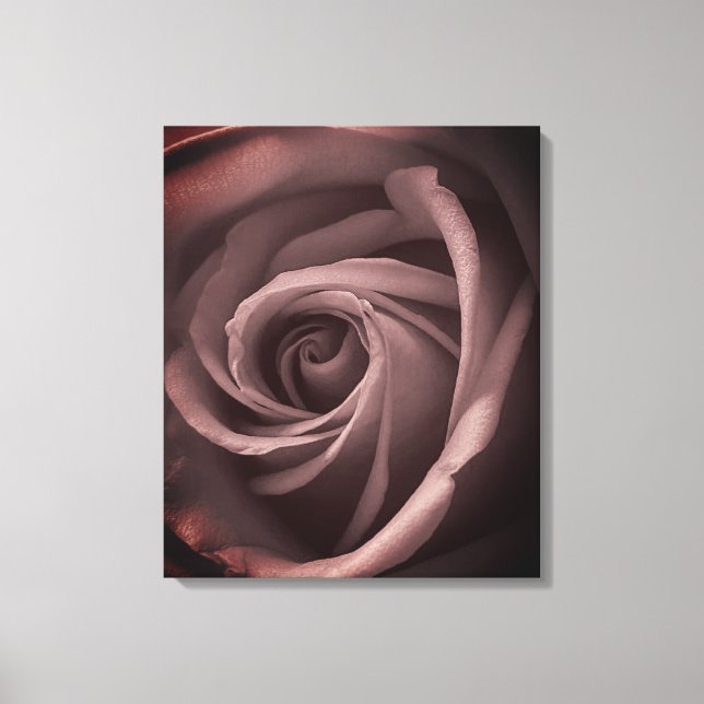 Vintage Rose Leinwanddruck (Vorderseite)