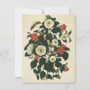 Vintage Rose mit Blumen, antiken Garten Blume