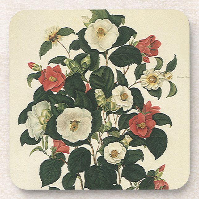 Vintage Rose mit Blumen, antiken Garten Blume Untersetzer (Vorderseite)