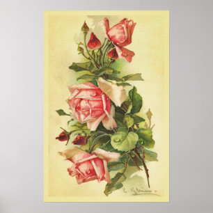 Vintage Rose mit Dew Drops Poster