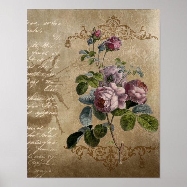 Vintage Rose mit Skript. Poster (Vorne)