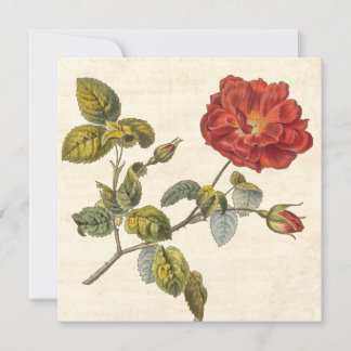 Vintage Rose Party Botanischer Geburtstagsgarten Einladung