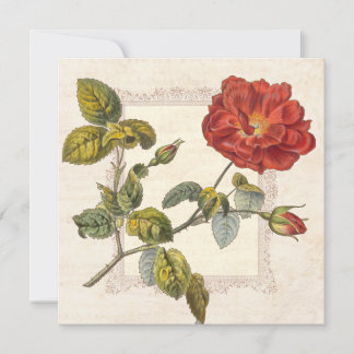 Vintage Rose Party Botanischer Geburtstagsgarten Einladung
