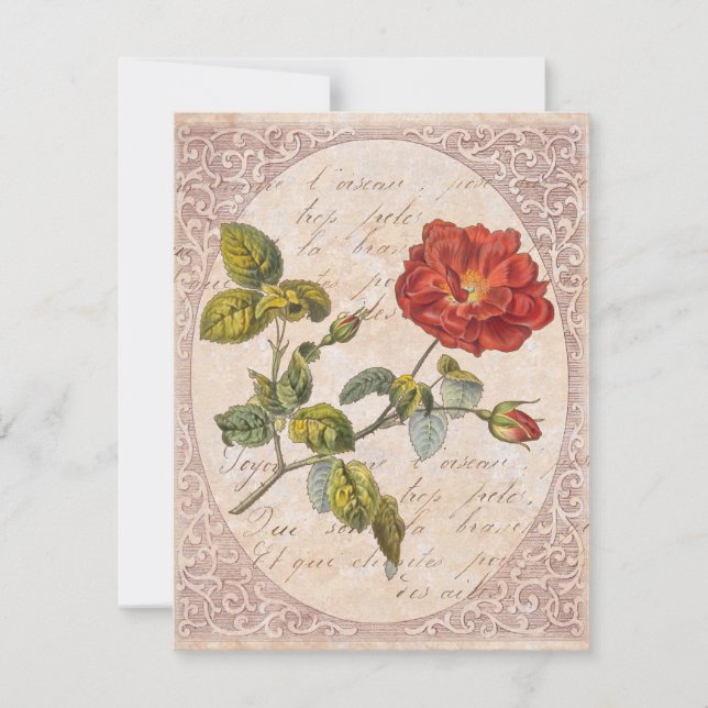 Vintage Rose Party Botanischer Geburtstagsgarten Einladung (Vorderseite)