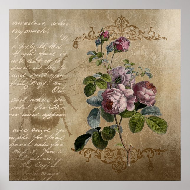 Vintage Rose Poster (Vorne)