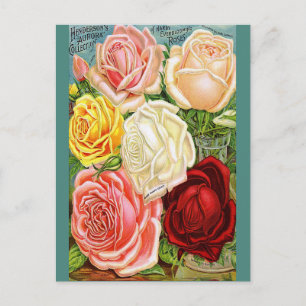 Vintage Rose Postkarte