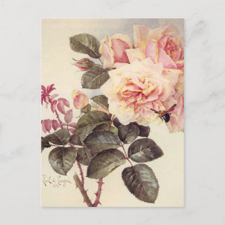 Vintage Rose Postkarte