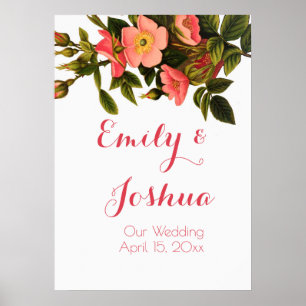 Vintage Rose Schöne rosa botanische Poster