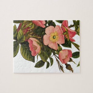 Vintage Rose Schöne rosa botanische Puzzle