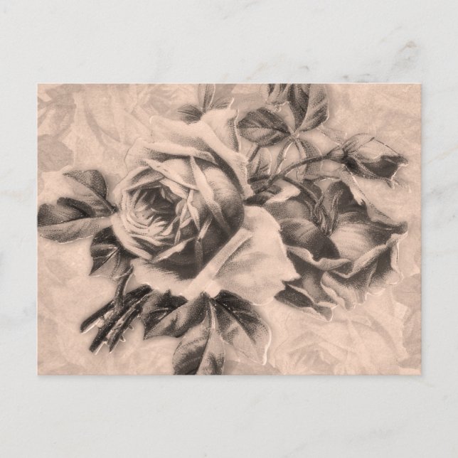 Vintage Rose Sepia Postkarte (Vorderseite)
