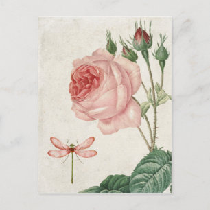Vintage Rose und Libelle Postkarte