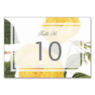 Vintage Rosen-Garten-Tischnummer-Karte -weiß Tischnummer