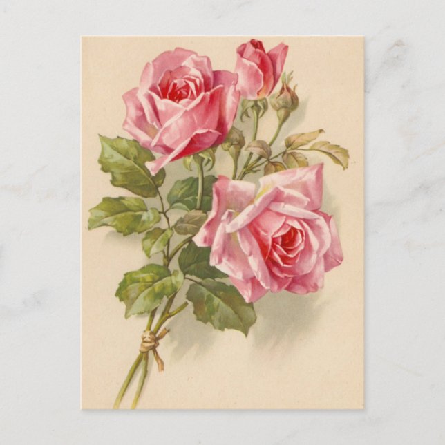 Vintage Rosen Postkarte (Vorderseite)