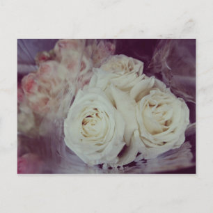 Vintage-Rosen V Postkarte