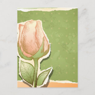 Vintage Rosenknospe in Grün, Postkarte