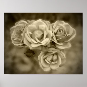 Vintage Roses Sepia Poster