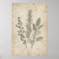 Vintage-Rosmarin-Thymian-Salbei-Herbarium-Poster