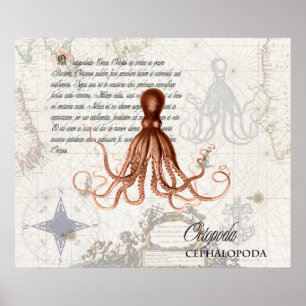Vintage-Rot-Oktopus-Illustration-Nautische Karte Poster
