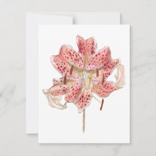 Vintage rote Blume zeichnend von Samuel Colman Mitteilungskarte