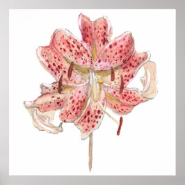 Vintage rote Blume zeichnend von Samuel Colman Poster